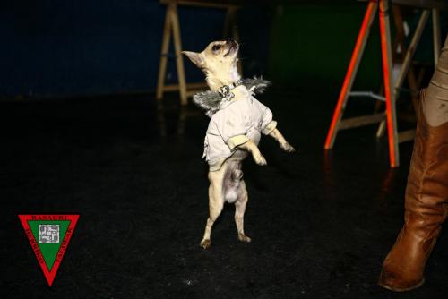  2071