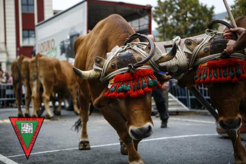2011-10-12 MIERCOLES