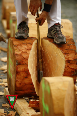 9725